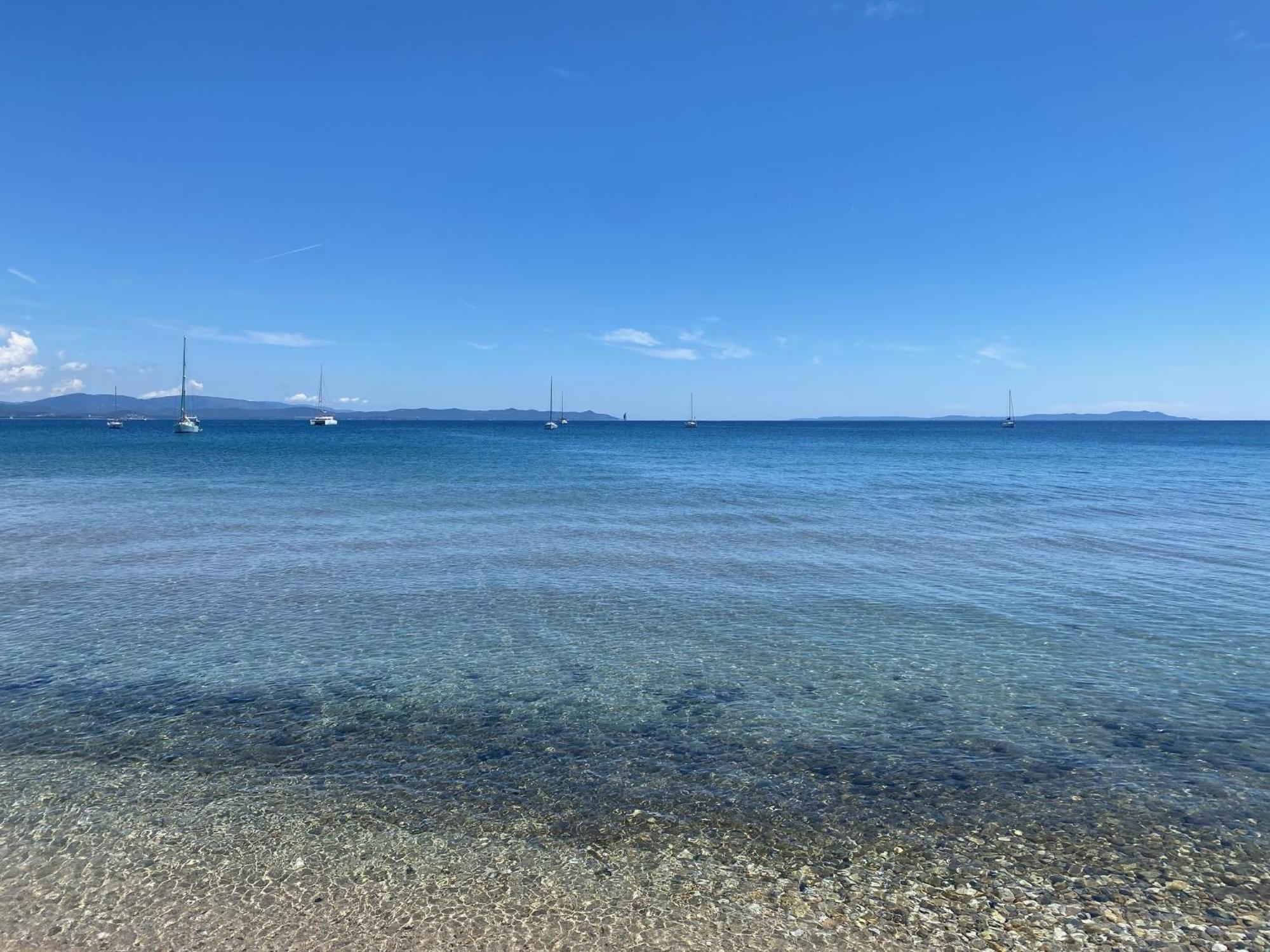 Appartement Les Cigales Rez De Jardin A 10Mn Des Plus Belles Plages Hyères Buitenkant foto
